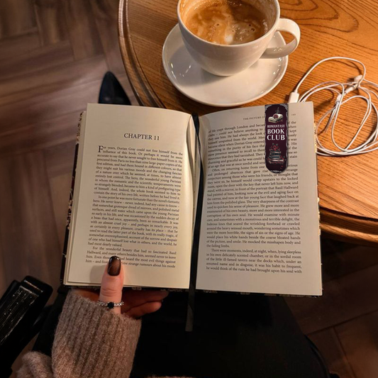 Dark Romance Magnetic Bookmarks Set of 6 | Aesthetic BookTok Bookmarks for Readers